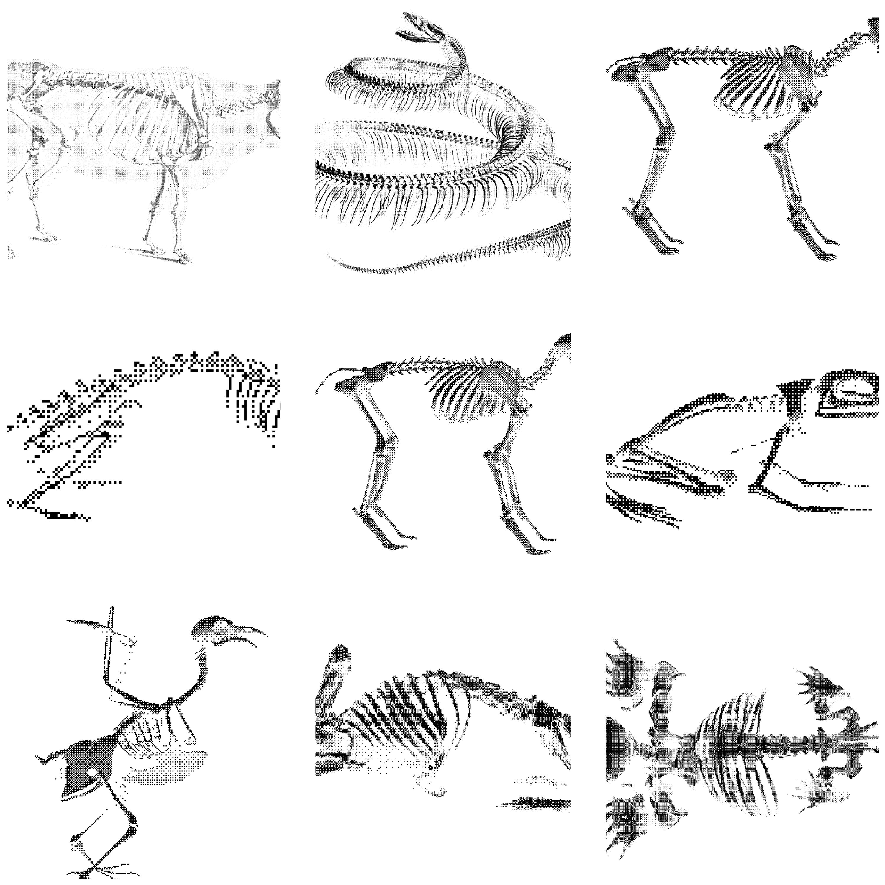 Bitmap Skeleton Clipart Pack | Gothic Horror Design Elements (digital ...
