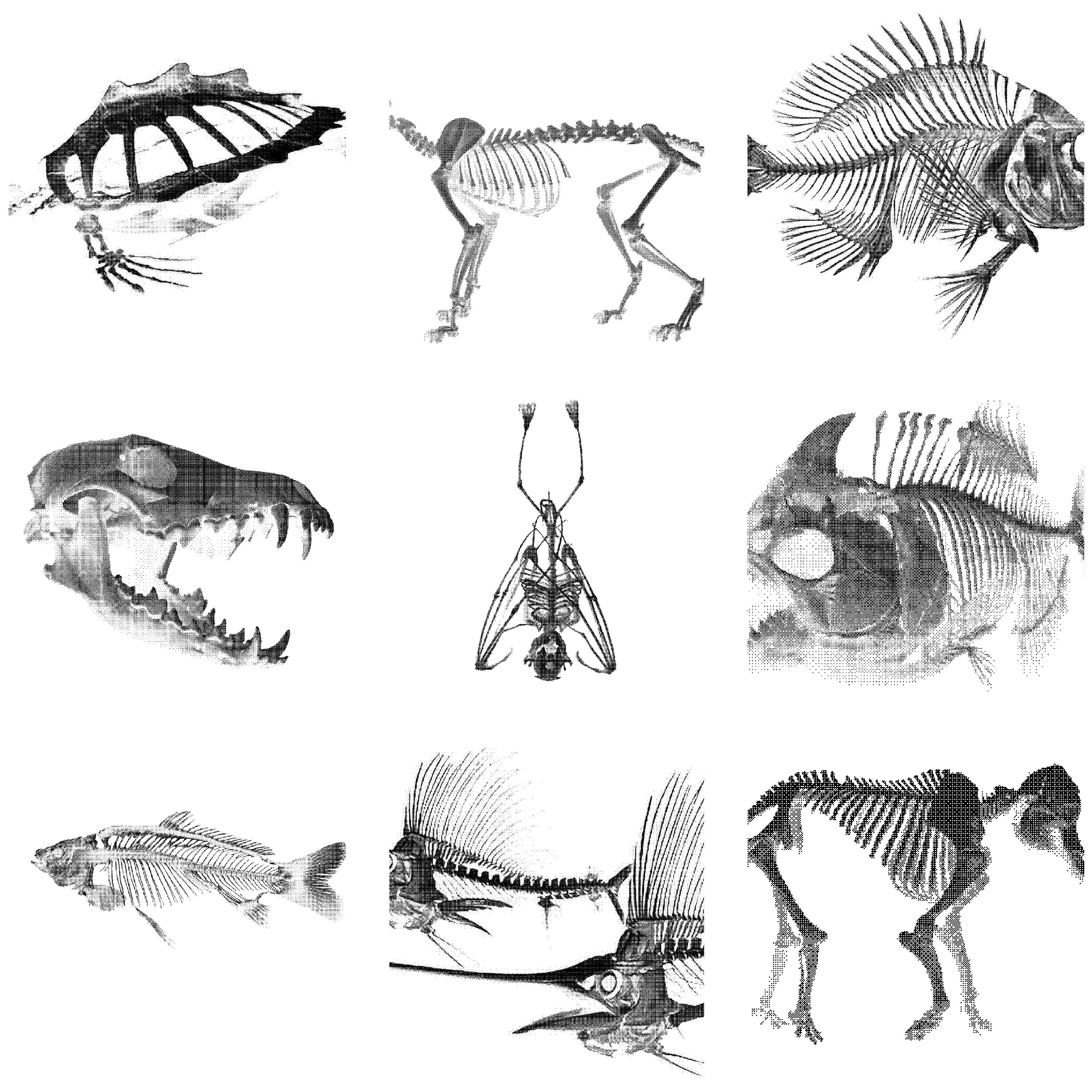 Skeleton Bitmap Bitmap Skeleton Clipart Pack | Gothic Horror Design Elements (digital ...