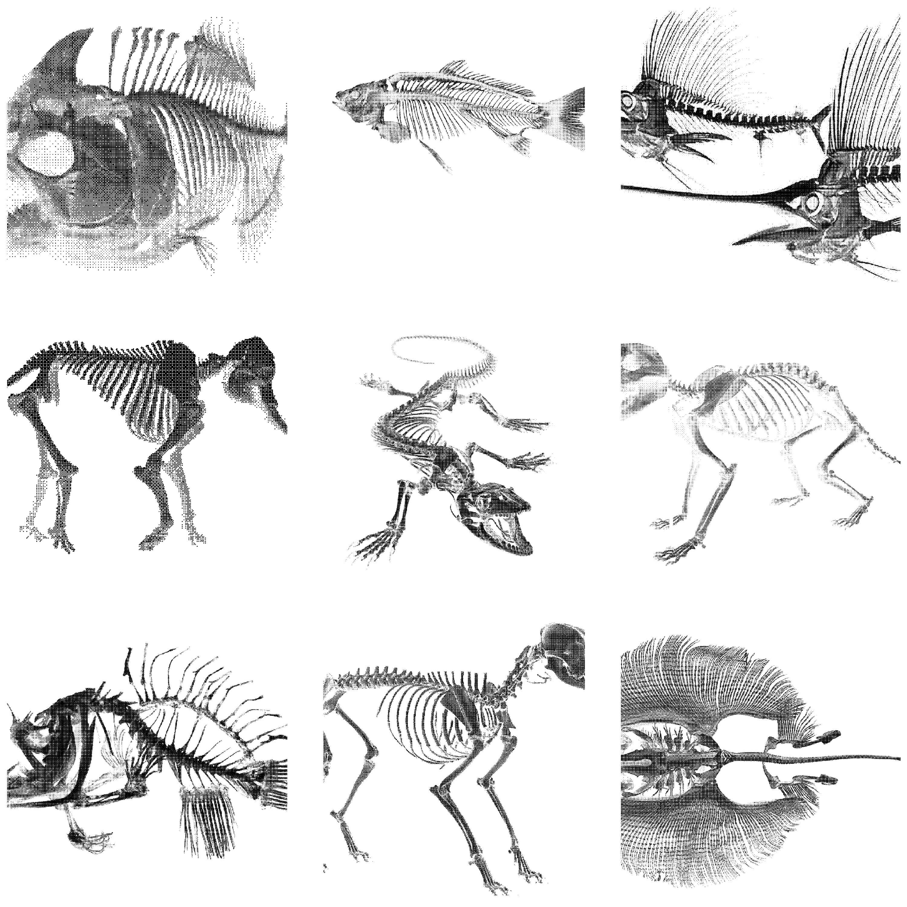Skeleton Bitmap Bitmap Skeleton Clipart Pack | Gothic Horror Design Elements (digital ...