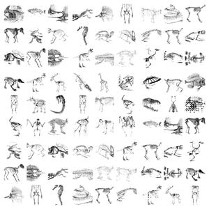 May include: A black and white illustration featuring a grid of various animal skeletons. The image showcases detailed skeletal structures of diverse creatures, including birds, fish, and mammals. The style is reminiscent of scientific diagrams.