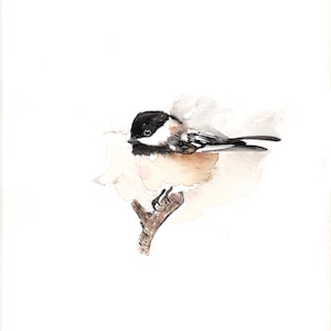May include: Watercolor painting of a small bird with a black head and white cheeks perched on a brown branch. The bird's body is a mix of gray, black, and white. The background is a soft, watercolor wash of beige and white.