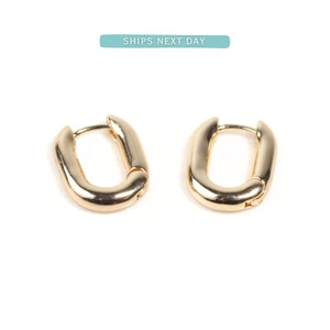 May include: A pair of gold-toned hoop earrings with a slightly oval shape.