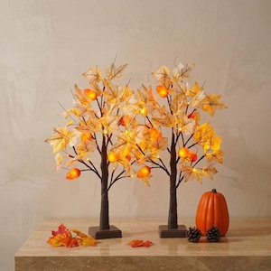 May include: Two decorative autumn-themed trees with illuminated orange-yellow leaves and orange fruit-shaped lights. A small orange pumpkin and two pinecones sit nearby. The trees have brown trunks and square bases.