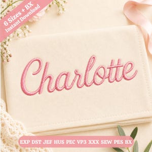 Pode incluir: Uma superfície de tecido creme com o nome Charlotte bordado em letra cursiva rosa. Uma faixa diagonal rosa no canto superior esquerdo diz 6 Sizes + BX Instant Download, e uma barra rosa na parte inferior lista os formatos de arquivo.