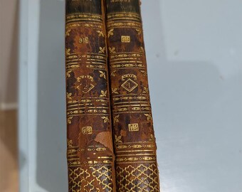 May include: Two antique books with brown leather covers and gold embossed detailing. The spines feature the title "ABBOT" in gold lettering. The covers have intricate gold patterns and decorative elements, with a worn, vintage appearance.
