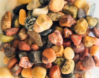 100 Great Lakes Rocks - Small Geological Specimen Collection