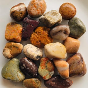20 Big Great Lakes Rocks - Assorted Larger Geological Specimen Collection