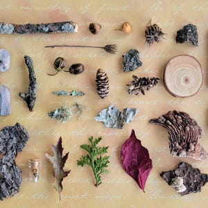 May include: An assortment of natural elements, including a pine cone, leaves, bark, and small stones, arranged on a light yellow surface. The composition includes a variety of textures and colors, creating a rustic and organic aesthetic.
