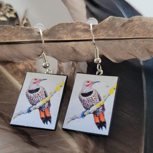 Op de afbeelding: Vierkante oorbellen met een aquarel schilderij van een vogel op een tak. De vogel heeft een rode kop, zwarte vlekken en oranje staartveren. De oorbellen hangen aan zilveren haken en zijn geplaatst tegen een achtergrond van veren.