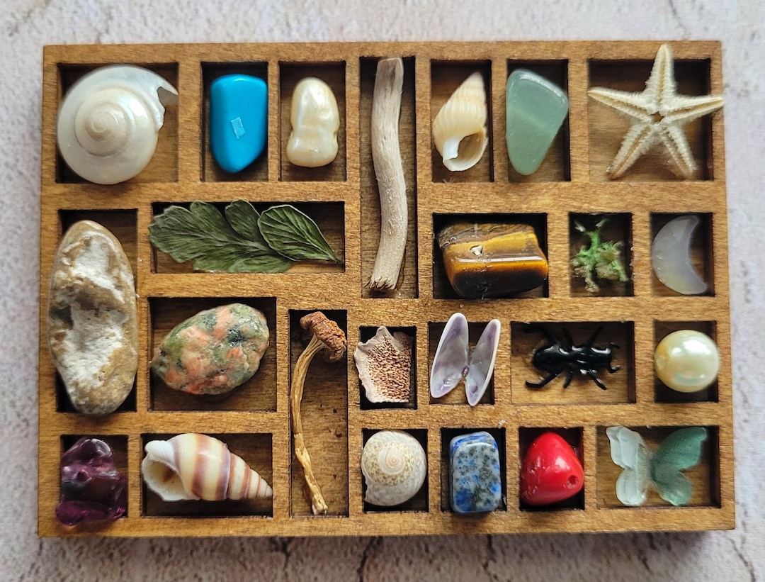 Botanicial Shell Miniature Curiosity Trinket Tray - Real Stones, Shells, Botanical Items ...