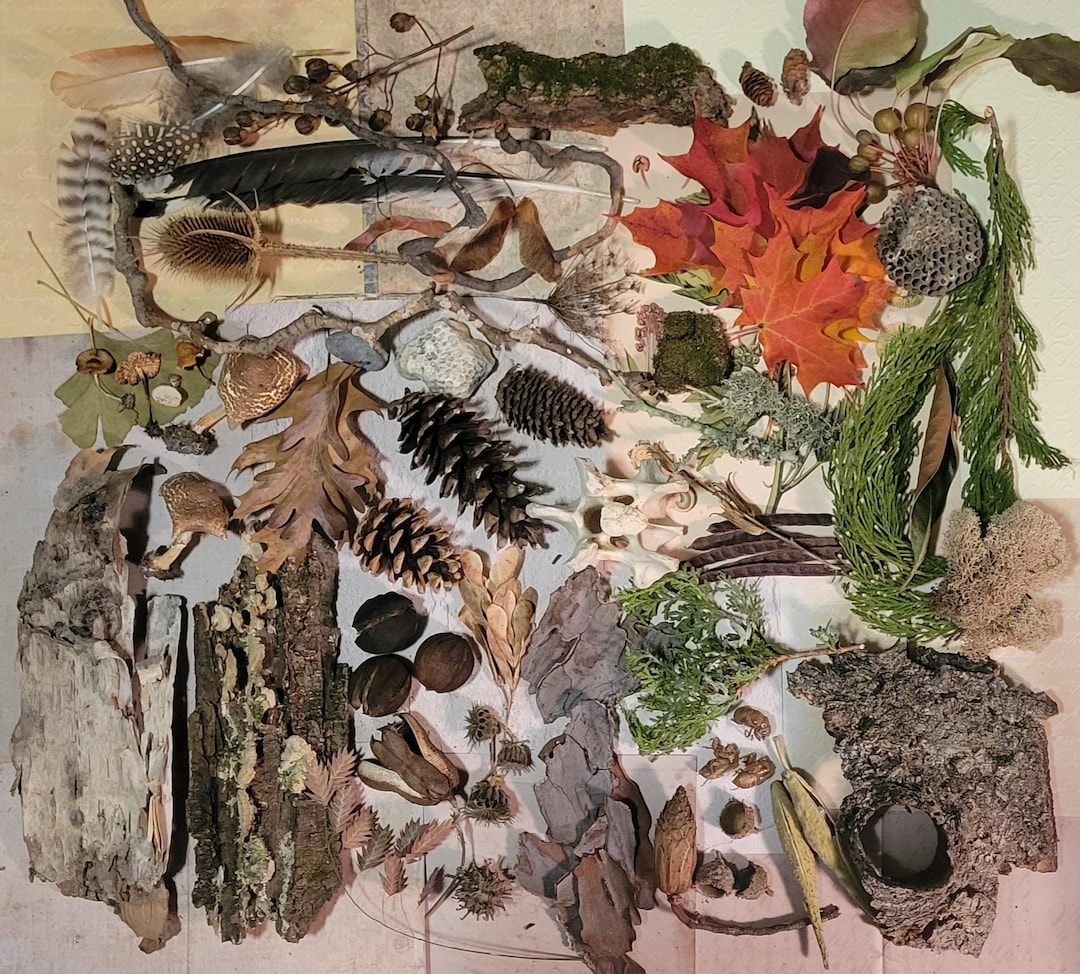 April Forest Collection Forest Finds Nature Collection: 75 Ethically Sourced Items - Etsy