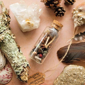 May include: A collection of natural items: a glass bottle with a cork, a quartz crystal, seashells, pine cones, a large feather, and driftwood. A small tag reads "Downy Woodpecker Wing Feather."