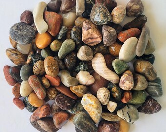 100 Great Lakes Rocks & Fossils - Geological Specimens - Bonus Mystery Fossil!