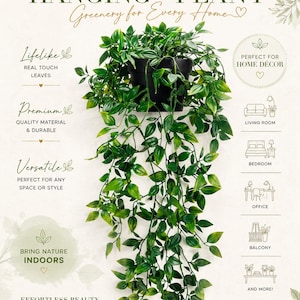 May include: A hanging plant in a black pot with cascading green leaves. The text reads: BEAUTIFY YOUR SPACE, HANGING PLANT, Greenery for Every Home, Lifelike, REAL TOUCH LEAVES, Premium, QUALITY MATERIAL & DURABLE, Versatile, BRING NATURE INDOORS.