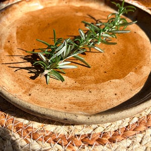 May include: A handmade, rustic ceramic plate with a brown glaze and a sprig of fresh rosemary. The plate has a slightly irregular shape and a textured rim. The plate is approximately 25 cm in diameter.