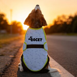 May include: A dog wearing a white vest with a light blue bone and paw print pattern. The vest has a brown band and is trimmed with yellow. The name "ROCKY" is printed in black script on the vest. The dog is sitting on a road at sunset.