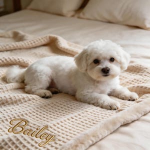 Peut inclure: Une couverture de couleur crème à texture gaufrée portant le nom Bailey brodé en lettres dorées. Un petit chien blanc au pelage bouclé est allongé au centre de la couverture, tourné vers l'avant avec des yeux et une truffe foncés.