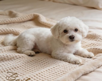 Personalized Coral Fleece Dog Blanket – Custom Embroidered Pet Name, Soft Cozy Pet Gift
