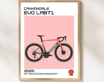 Cycling Poster / Bicycle Wall Art / Minimalist Bike Print / Cannondale / Cycling Gift / Modern Home Decor / Printable Bike Art / TDF