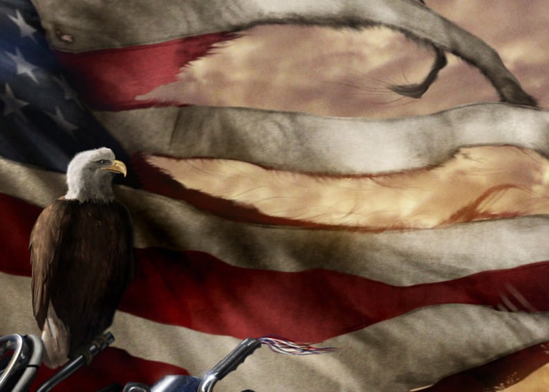 American history art, alternative history decor, patriotic FDR poster