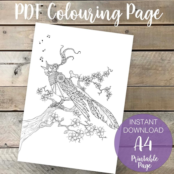 The Nightingale Fairy Tale Coloring Page for Adults, Steampunk Bird Art Printable Page