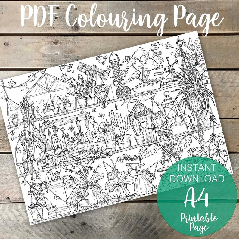 Plant Shelfie PDF Printable Colouring Page for Adults, Instant Download 