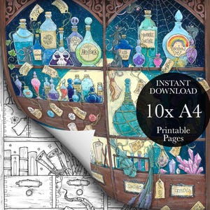 Shelfies PDF Coloring Page Bundle for Adults, Halloween, Curiosity Shop