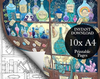 Shelfies PDF Coloring Page Bundle for Adults, Halloween, Curiosity Shop