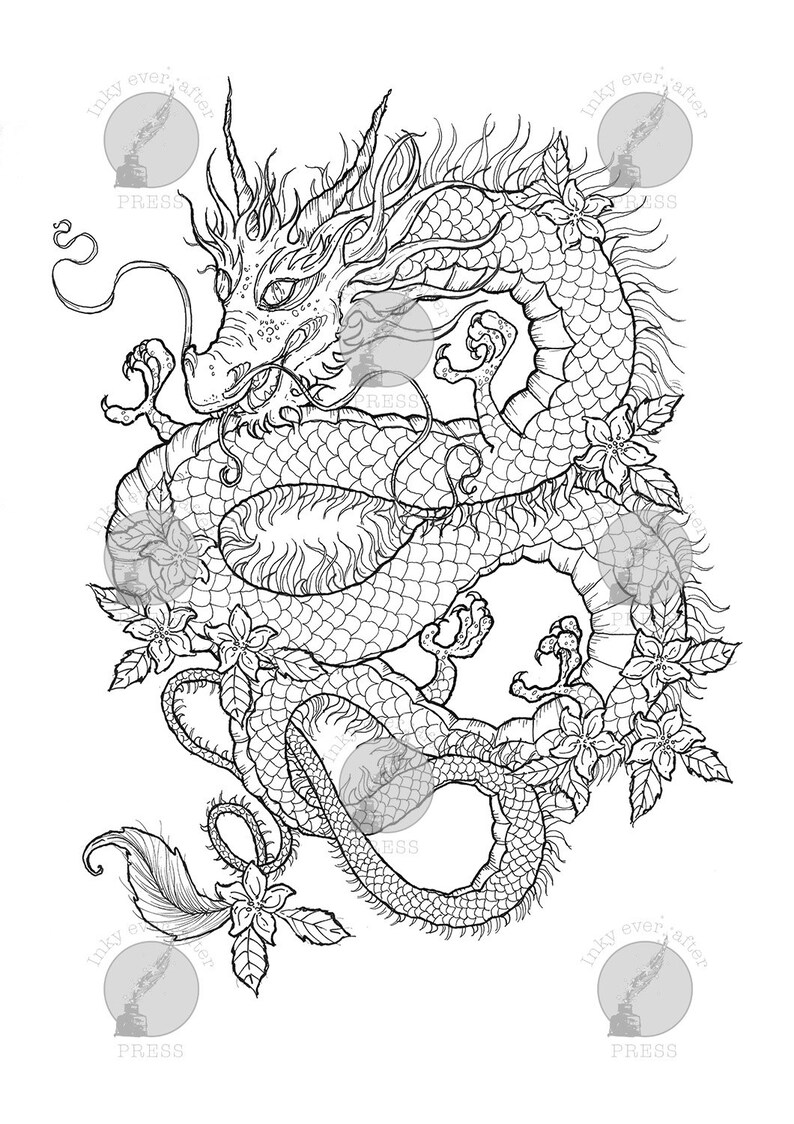 Chinese Dragon A4 Printable Coloring Page for Adults Chinese - Etsy