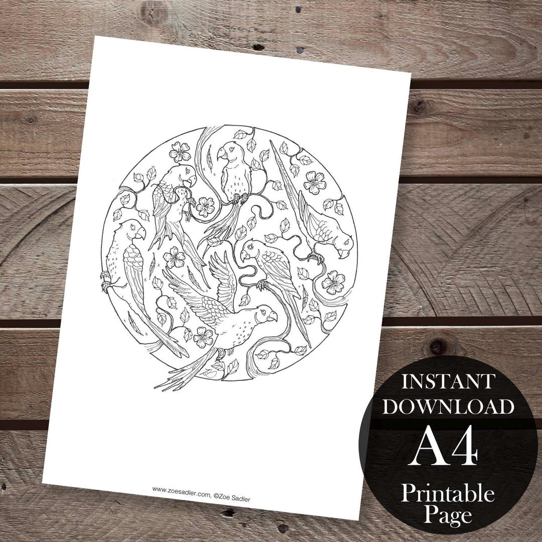Birds of Paradise Coloring Page for Adults, Parekeet Bird Art Printable ...