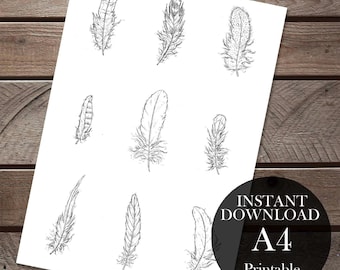 Decorative Feather A4 Printable Coloring Page for Adults, Nature Digital Download