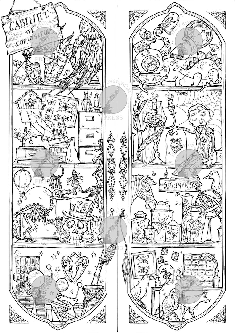 Cabinet of Curiosities , Halloween PDF Printable Colouring Page for Adults image 3