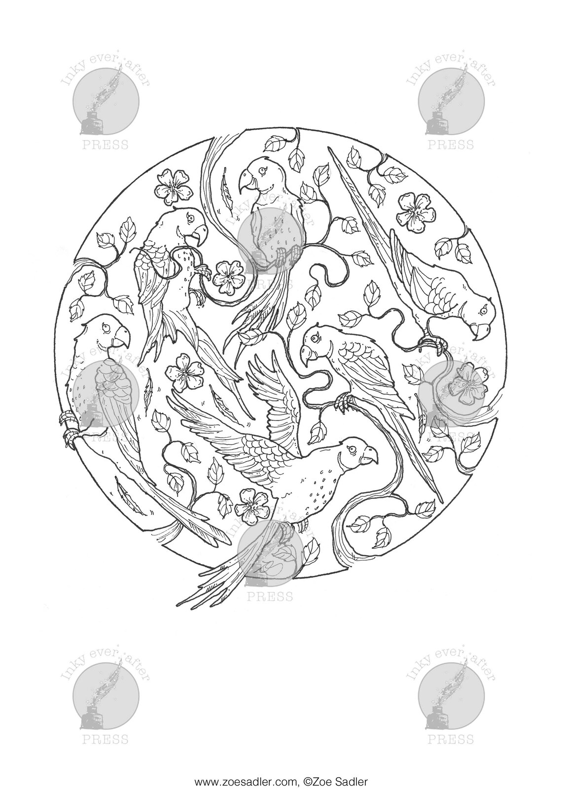 Birds of Paradise Coloring Page for Adults, Parekeet Bird Art Printable ...