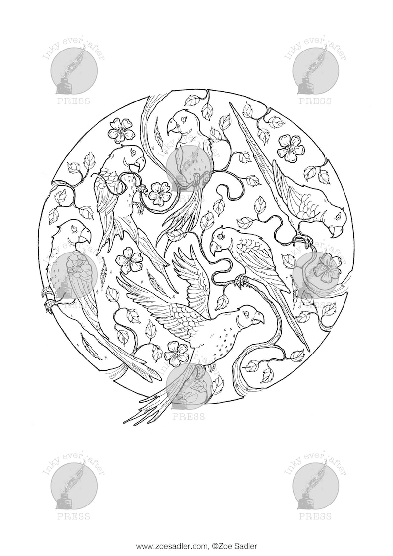 Birds of Paradise Coloring Page for Adults, Parekeet Bird Art Printable ...