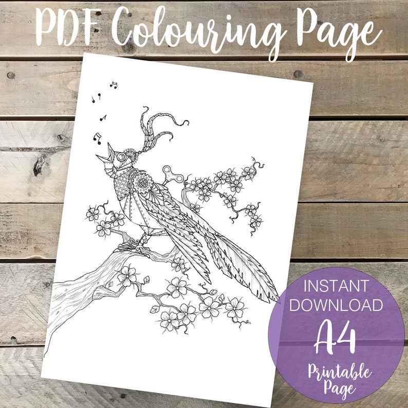 Download The Nightingale Fairy Tale Coloring Page for Adults Steampunk | Etsy