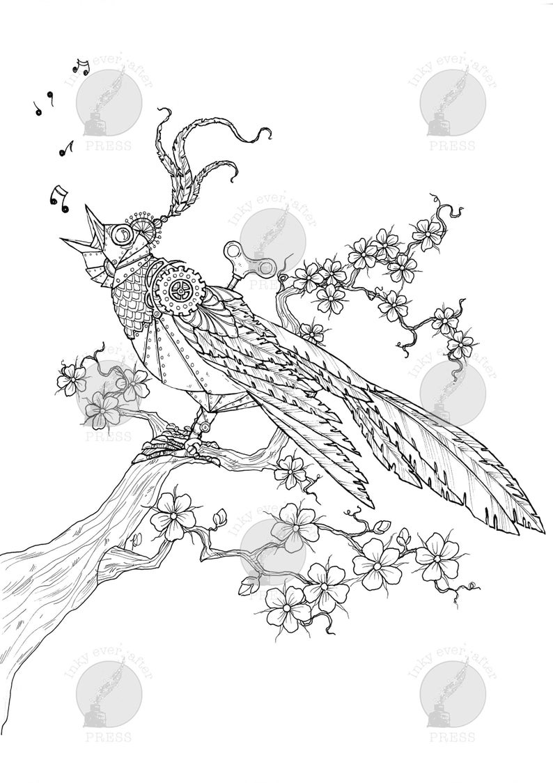Download The Nightingale Fairy Tale Coloring Page for Adults Steampunk | Etsy