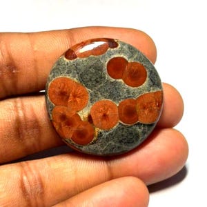 May include: A round, polished cabochon gemstone featuring a dark grey, mottled base color with distinct, circular, reddish-orange inclusions that display a radial, star-like pattern within each individual orb-shaped marking on the stone surface.