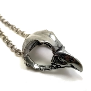 Owl Necklace. Owl Skull Necklace. Bird Skull Necklace. DBN