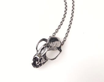 吸血コウモリの頭蓋骨レプリカ（博物館級の品質） - Etsy 日本