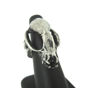 Bat Skull Ring. Bat Skull. Skull Ring. Skull. Rodent. Bone Ring. Bone. Bat Ring