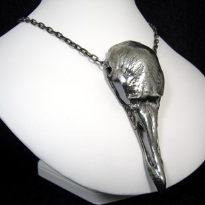Collana con teschio di avvoltoio. Teschio di uccello. Avvoltoio nero. DBN