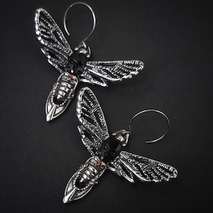 May include: A pair of silver earrings shaped like moths with black and orange accents. The earrings have intricate details and a delicate design.