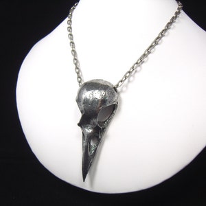 Crow Skull necklace. Bird skull. DBSN