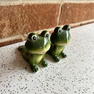 Vintage Ceramic Frog Salt and Pepper Shakers: Whimsical Kitchen Decor