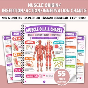 Op de afbeelding: Een 55-pagina tellende spiraalgebonden anatomie-studiegids voor verpleegkunde genaamd Muscle O.I.A.I. Charts. De omslag bevat een diagram van het menselijk spierstelsel met kleurgecodeerde secties voor oorsprong, aanhechting, actie en innervatie.