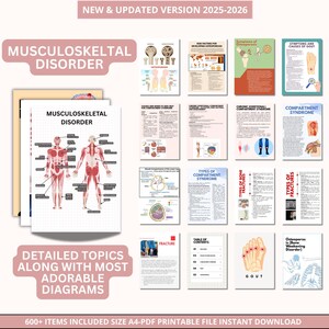 Med-surg Notes Mega Bundle | Nursing Study Guide | Medical-surgical ...