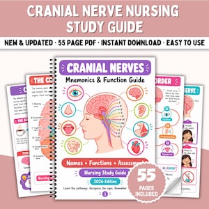 Può includere: Una guida allo studio infermieristico sui nervi cranici di 55 pagine con rilegatura a spirale, che presenta un diagramma centrale di una testa umana con percorsi nervosi codificati a colori, icone anatomiche ed etichette testuali.