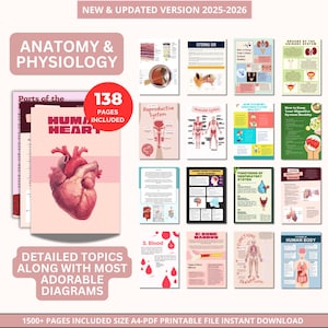 May include: Educational resources on Anatomy and Physiology. The image displays a series of illustrated pages with detailed topics and diagrams. Text includes "New & Updated Version 2025-2026", "138 Pages Included", and "Detailed Topics Along With Most Adorable Diagrams".
