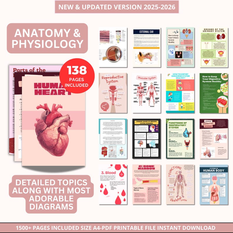 May include: Educational resources on Anatomy and Physiology. The image displays a series of illustrated pages with detailed topics and diagrams. Text includes "New & Updated Version 2025-2026", "138 Pages Included", and "Detailed Topics Along With Most Adorable Diagrams".