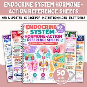 Puede incluir: Un conjunto de hojas de referencia sobre la acción hormonal del sistema endocrino con diagramas anatómicos coloridos del cerebro, tiroides, glándulas suprarrenales y ovarios. El texto dice Endocrine System Hormone-Action Reference Sheets.